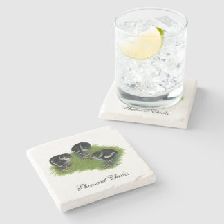 Pheasant Black Chicks Stone Coaster