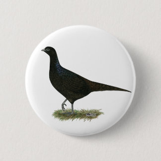 Pheasant Black Hen 6 Cm Round Badge