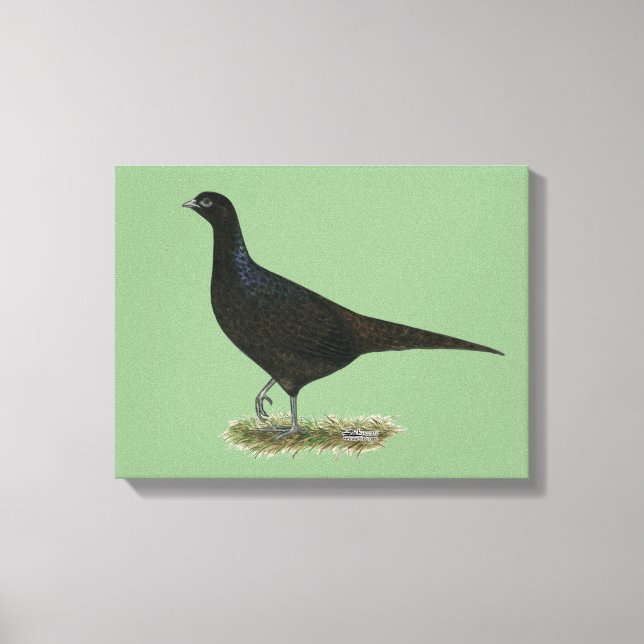 Pheasant Black Hen Canvas Print (Front)