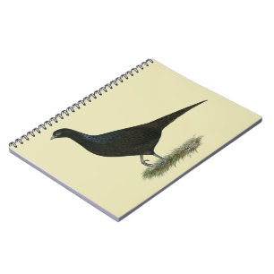 Pheasant Black Hen Spiral Notebook