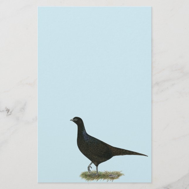 Pheasant Black Hen Stationery (Front)