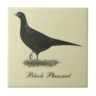 Pheasant Black Hen Tile