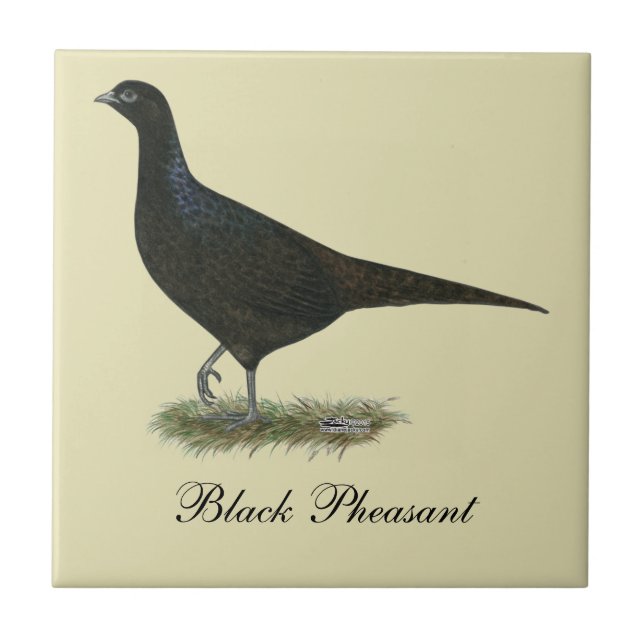 Pheasant Black Hen Tile (Front)