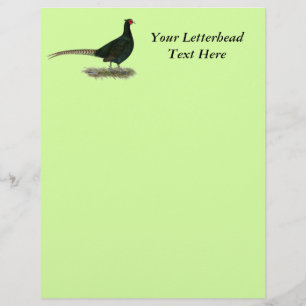 Pheasant Black Rooster