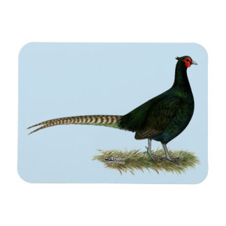 Pheasant Black Rooster Magnet