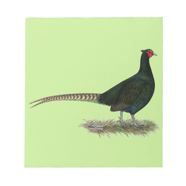 Pheasant Black Rooster Notepad (Front)