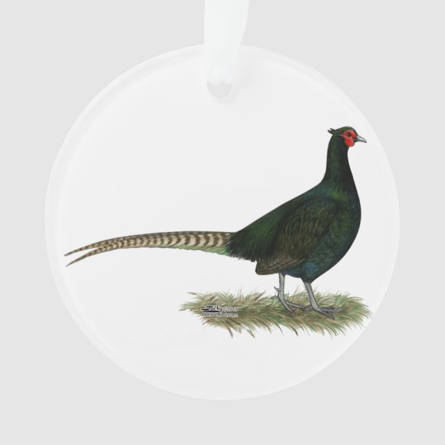 Pheasant Black Rooster Ornament (Front)