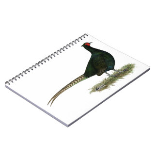 Pheasant Black Rooster Spiral Notebook