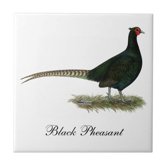 Pheasant Black Rooster Tile (Front)