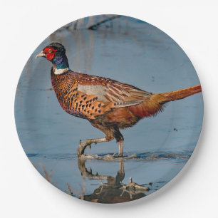 Pheasant Blue Water Photo Paper Plate