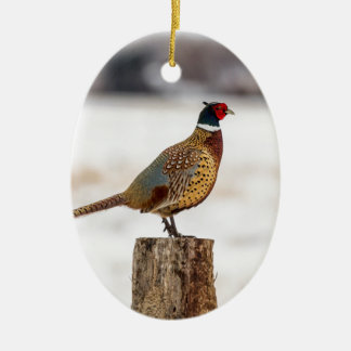 Pheasant Ceramic Tree Decoration