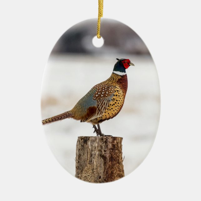 Pheasant Ceramic Tree Decoration (Front)