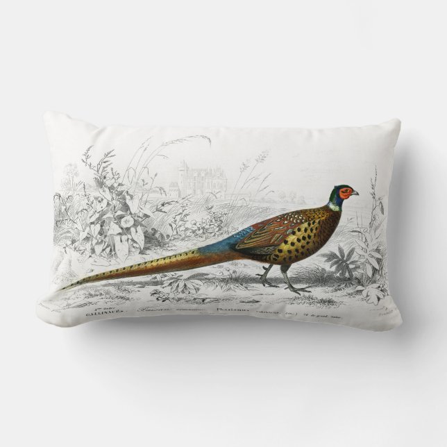 Pheasant for Christmas - Ring Necked Pheasant - Lumbar Cushion (Front)