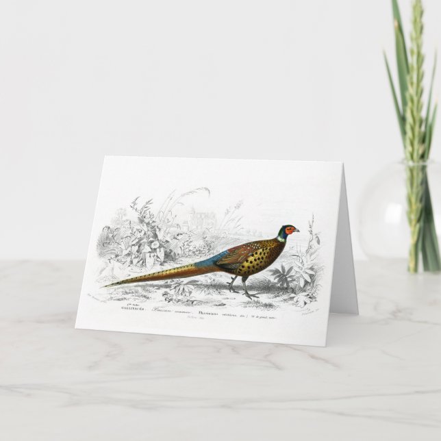 Pheasant for Christmas - Vintage Art - Holiday Card (Front)