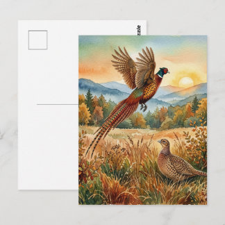 Pheasant Forever . Watercolor art Postcard