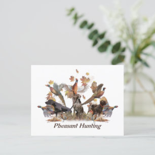 Pheasant Hunting    Postcard