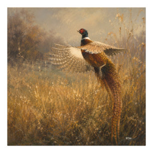 Pheasant in Golden Flight Photo Print