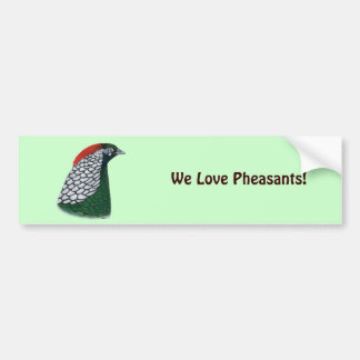 Pheasant:  Lady Amherst Head Bumper Sticker