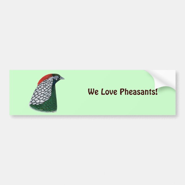 Pheasant:  Lady Amherst Head Bumper Sticker (Front)