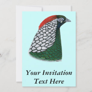 Pheasant:  Lady Amherst Head Invitation