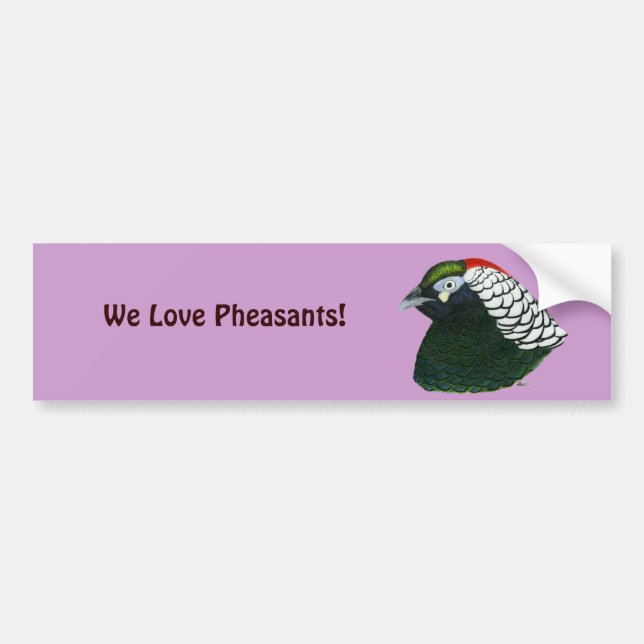 Pheasant:  Lady Amherst Rooster Bumper Sticker (Front)