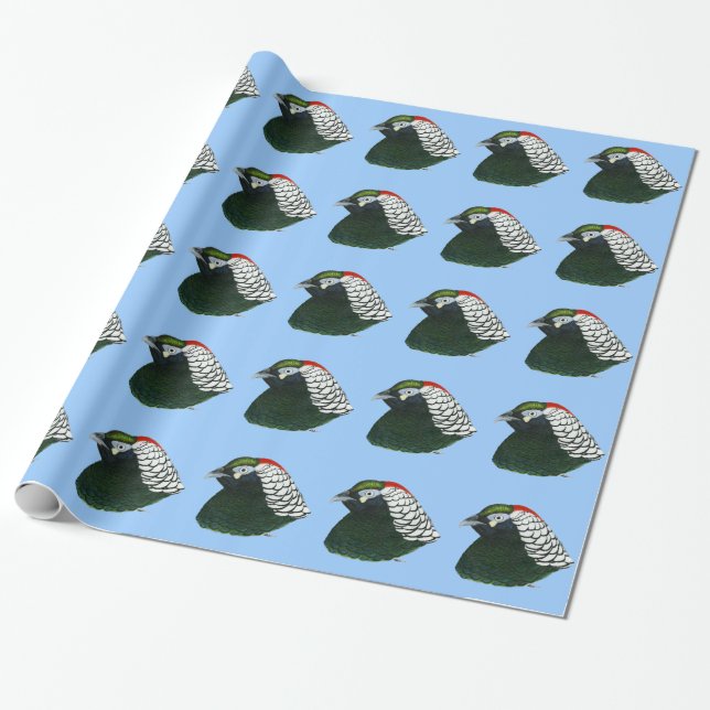 Pheasant:  Lady Amherst Rooster Wrapping Paper (Unrolled)