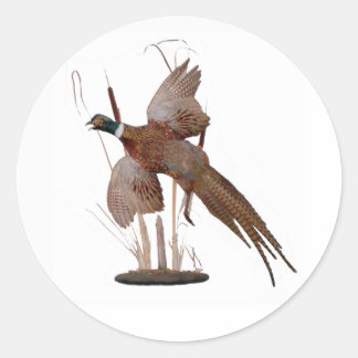 Pheasant Mount Classic Round Sticker