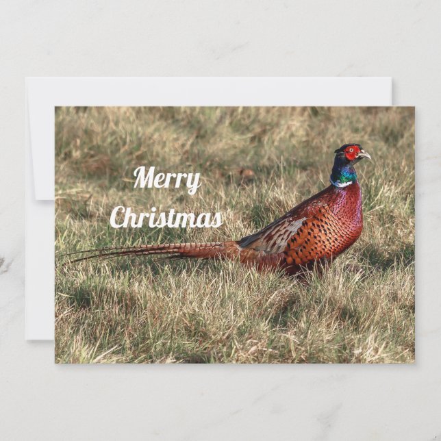 Pheasant Photo Christmas Flat Holiday Card (Front)