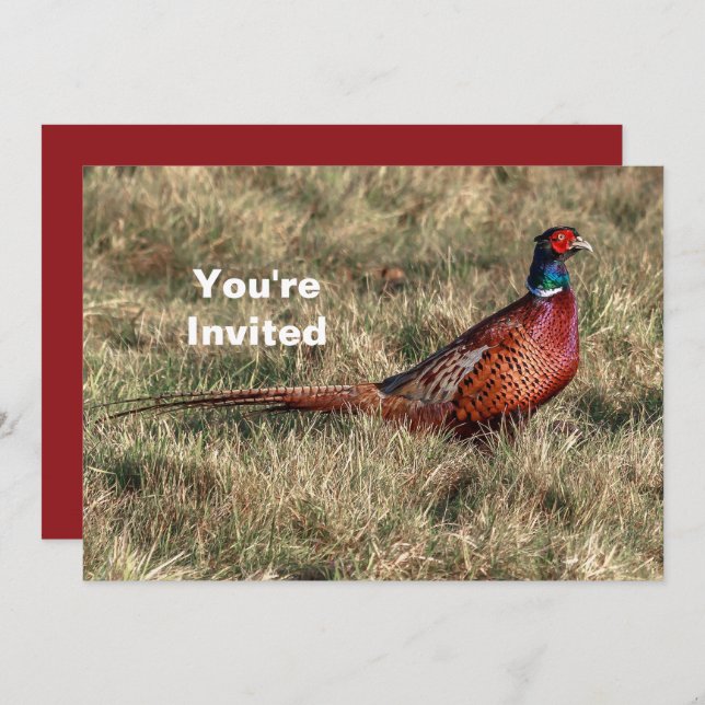 Pheasant Photo Christmas Invitation (Front/Back)
