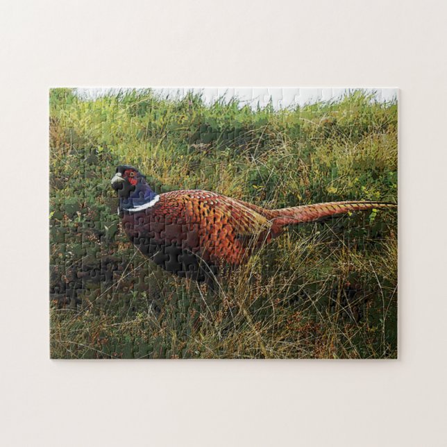 Pheasant Puzzle (Horizontal)