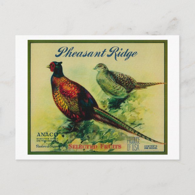 Pheasant Ridge Apple Crate Label Postcard (Front)