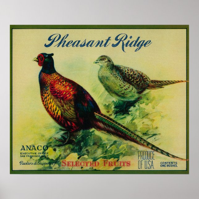 Pheasant Ridge Apple Crate Label Poster (Front)