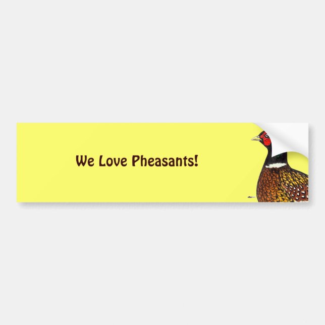 Pheasant:  Ringneck Head Bumper Sticker (Front)