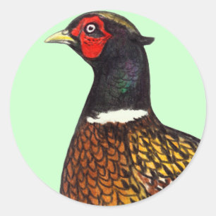 Pheasant:  Ringneck Head Classic Round Sticker