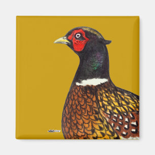 Pheasant: Ringneck Head Magnet