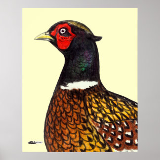 Pheasant: Ringneck Head Poster
