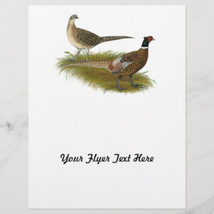 Pheasant:  Ringneck Pair Flyer