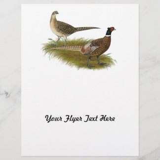 Pheasant:  Ringneck Pair Flyer