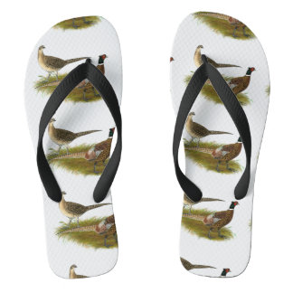Pheasant:  Ringneck Pair Jandals