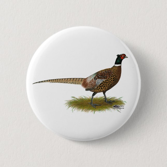 Pheasant Rooster 6 Cm Round Badge (Front)