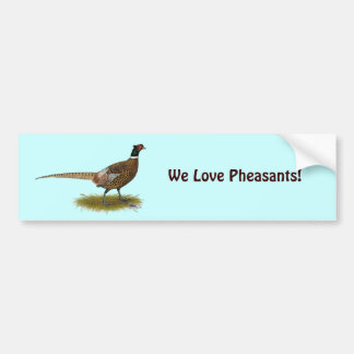 Pheasant Rooster Bumper Sticker