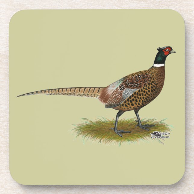 Pheasant Rooster Coaster (Front)