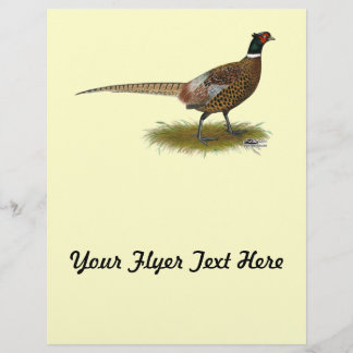 Pheasant Rooster Flyer