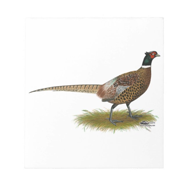 Pheasant Rooster Notepad (Front)