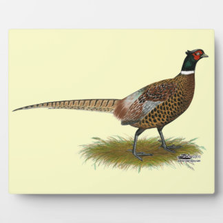 Pheasant Rooster Plaque
