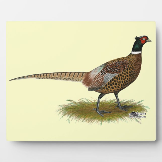 Pheasant Rooster Plaque (Front)
