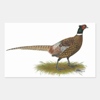 Pheasant Rooster Rectangular Sticker