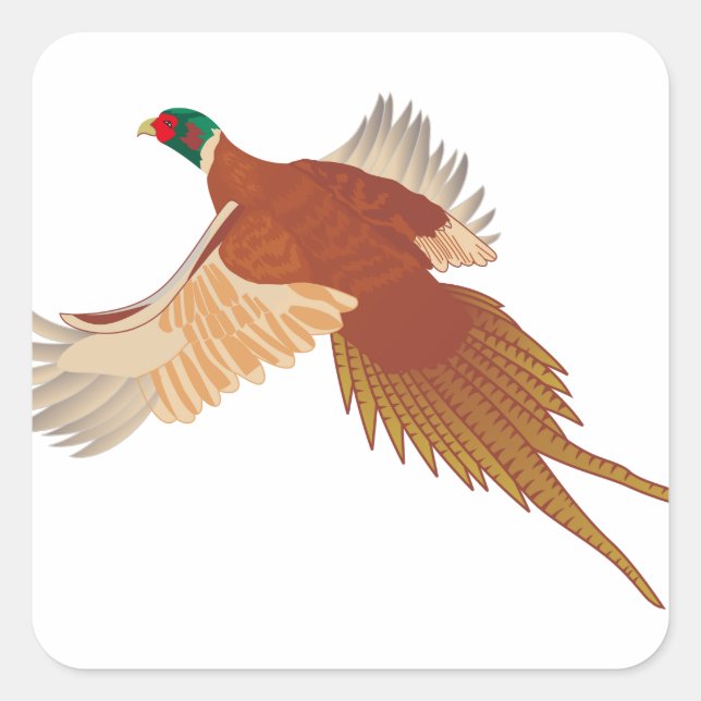 Pheasant Square Sticker (Front)