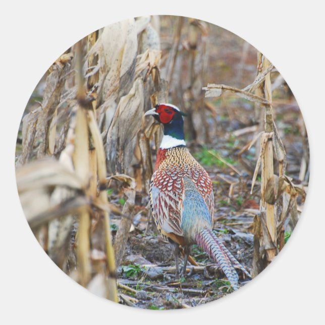 Pheasant Sticker (Front)