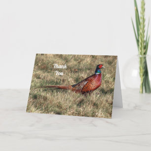 Pheasant Thank You Card